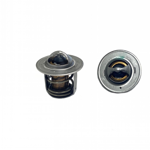 Picture of Thermostat, 180 Degree