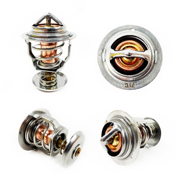 Picture of Thermostat, 160 Degree