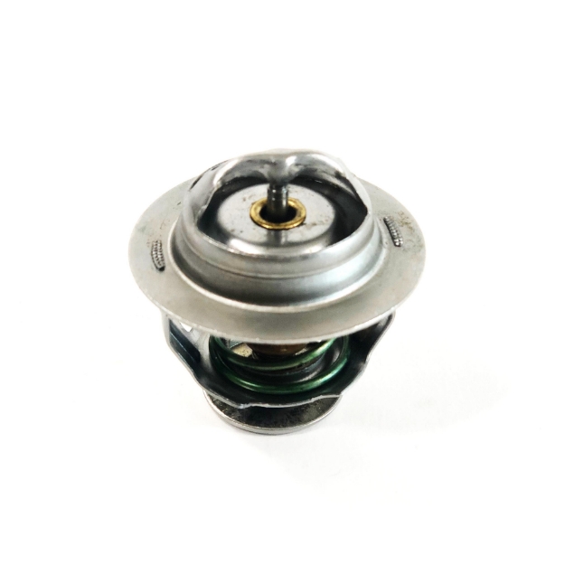 Picture of Thermostat, 180 Degree