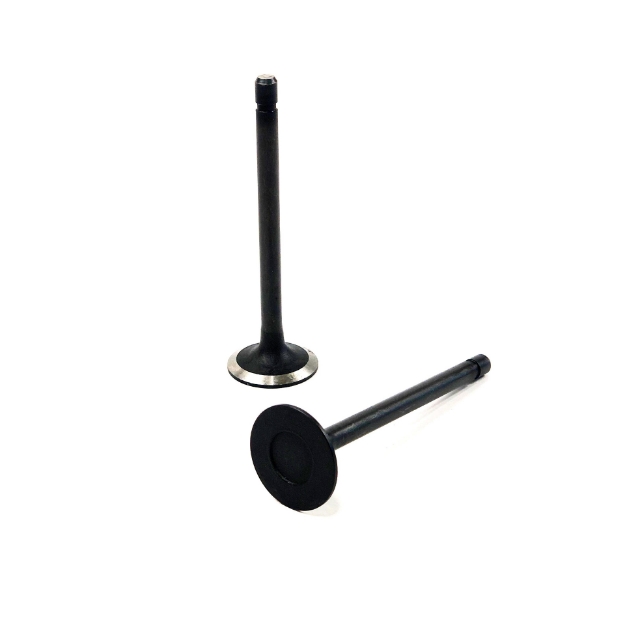 Picture of Intake Valve