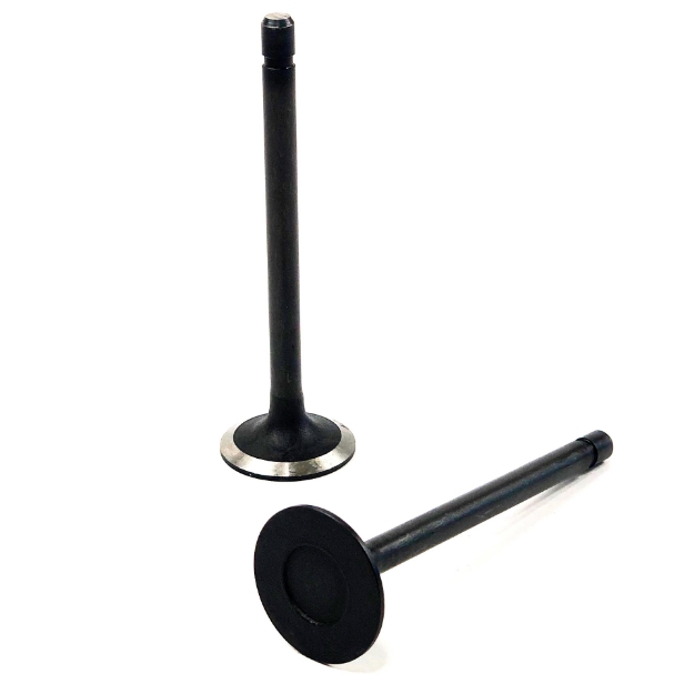 Picture of Intake Valve