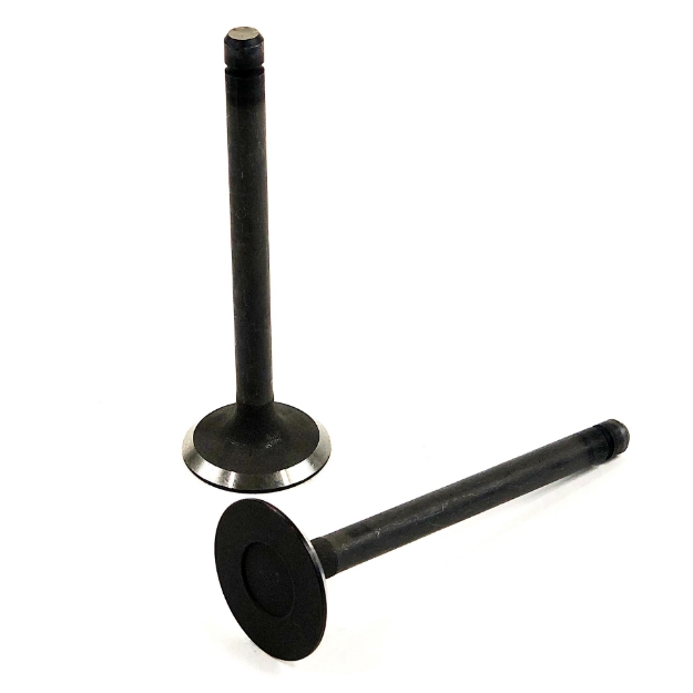 Picture of Intake Valve
