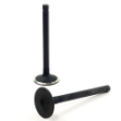 Picture of Intake Valve