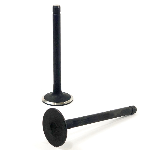 Picture of Intake Valve