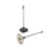 Picture of Intake Valve, 45 Degree