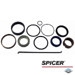 Picture of Dana/Spicer Complete Steering Cylinder Seal Kit, MFD