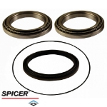 Picture of Dana/Spicer Planetary Wheel Hub Bearing & Seal Kit, MFD