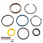 Picture of Dana/Spicer Steering Cylinder Seal Kit, MFD, 12 Bolt Hub