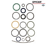 Picture of Dana/Spicer Steering Cylinder Seal Kit, MFD, Original & Updated