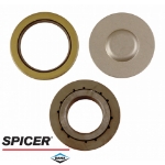 Picture of Dana/Spicer Kingpin Bearing & Seal Kit, MFD, 10 Bolt Hub