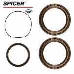 Picture of Dana/Spicer Planetary Wheel Hub Bearing & Seal Kit, MFD