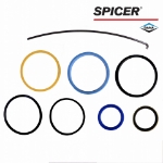 Picture of Dana/Spicer Steering Cylinder Seal Kit, MFD, 10 Bolt Hub