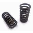 Picture of Valve Spring