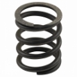 Picture of Valve Spring