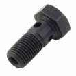 Picture of Check Ball with Bolt, piston cooling