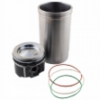 Picture of Cylinder Kit, Piston Marked DZ102298