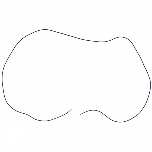 Picture of Oil Pan Gasket