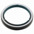 Picture of Rear Crankshaft Seal, Face Type