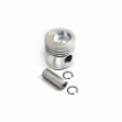 Picture of Piston