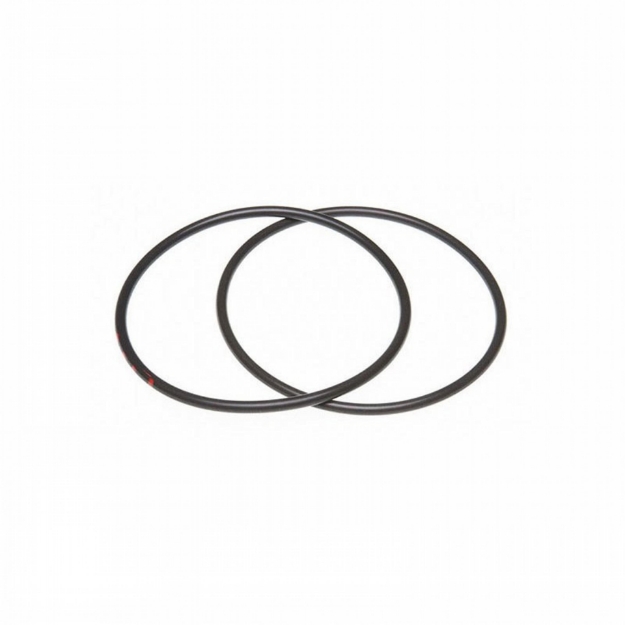 Picture of Liner Sealing Ring Kit, includes 2 orings, early and late style