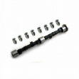 Picture of Camshaft & Lifter Kit