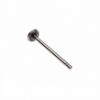 Picture of Intake Valve, 1.31" head diameter, 5.16" length