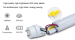 Picture of 25 x T8 LED Tube - up to 24W, 4ft, Milky or Clear lens - up to 2970 lumen. 2700 to 6500k. QTY 25 in a case.
