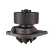 Picture of Water Pump w/ Pulley - New