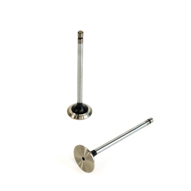 Picture of Intake Valve, New